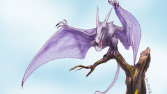 High Aerodactyl seconded Resolution