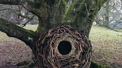 High andy Resolution goldsworthybirnest