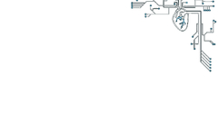 High Anonymous delivers Resolution