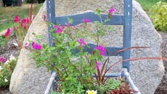 High blue ladderback chair