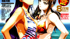 High bump Resolution