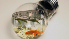 High bump Resolution