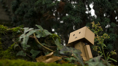 High danbo Resolution