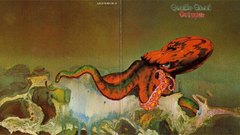 High Dean octopus also