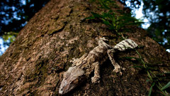 High derp Resolution