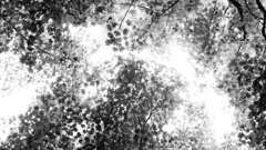 High dsc bamp Resolution