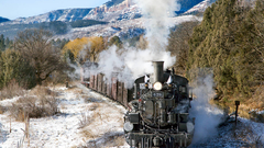 High dsng hermosa grade