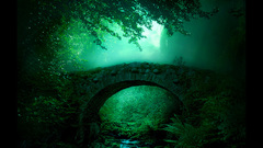 High emerald Resolution gladly