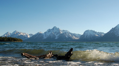 High enjoy fixed Resolution