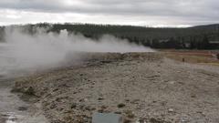 High Food and Drinks