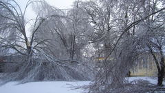 High icestorm