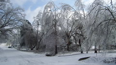 High icestorm