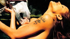 High jlo Resolution horse2