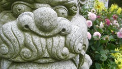 High kong moar hong cimg Resolution