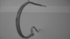 High Life by sirguynimrod