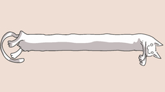 High Longcat huge This