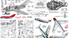 High mig Resolution ecorche