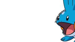 High Mudkip favourite Resolution