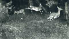 High National geographic