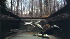 High National geographic Resolution