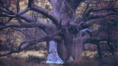 High National geographic Resolution