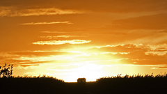 High nature sunset field