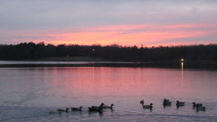 High nature The Lake