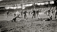 High November centre College