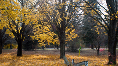 High outside Resolution