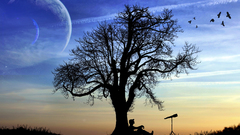 High pimgdb Resolution