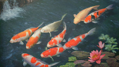 High pimgdb Resolution