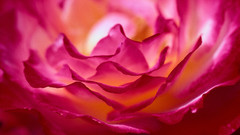 High pimgdb Resolution