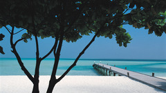 High pimgdb Resolution