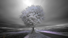 High pimgdb Resolution