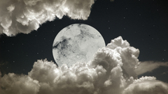 High pimgdb Resolution