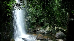 High pimgdb Resolution