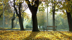 High pimgdb Resolution