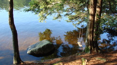 High pimgdb Resolution