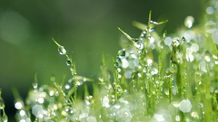 High pimgdb Resolution