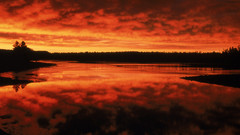 High problem Resolution