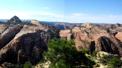 High progeny peak pano