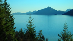 High res gentoo logo