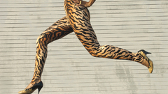 High res of santogold