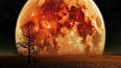 High resize Resolution bumpp