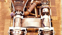 High Resolution batillus