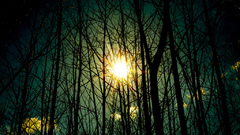 High Resolution befcc