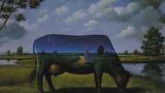 High Resolution calsurr