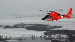 High Resolution dauphin