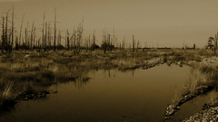 High Resolution ebdcdde