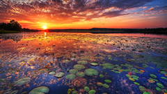 High Resolution efah